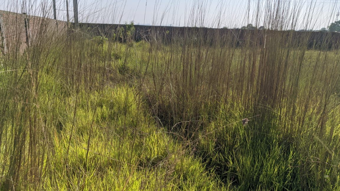 Property Image - 8