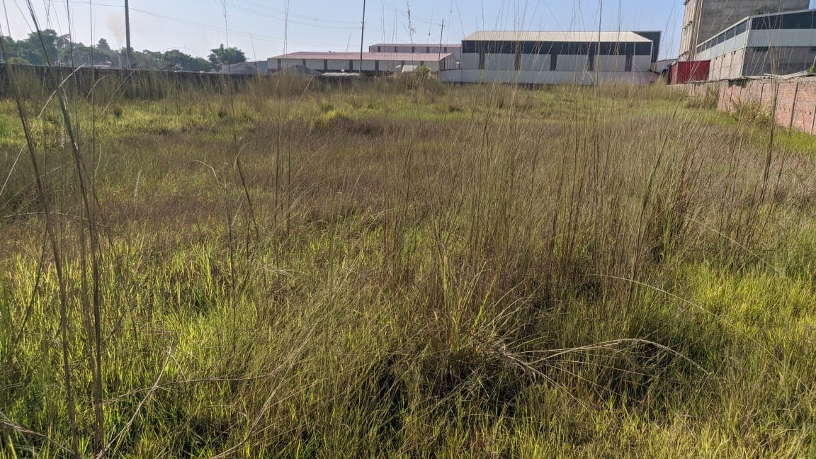 Property Image - 9