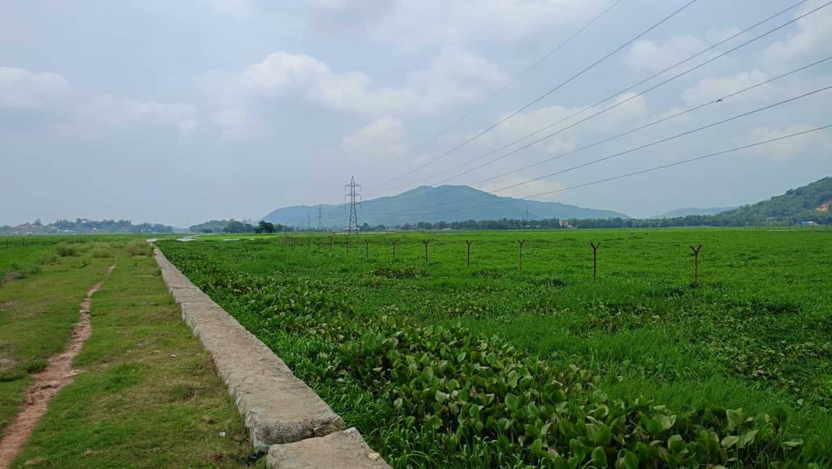 Property Image - 3