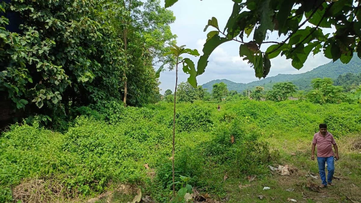 Property Image - 5